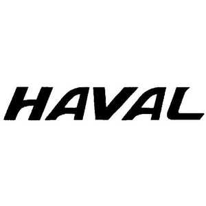 Haval Code Service