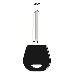 Multi-Function Key Blade DW05 to suit Daewoo