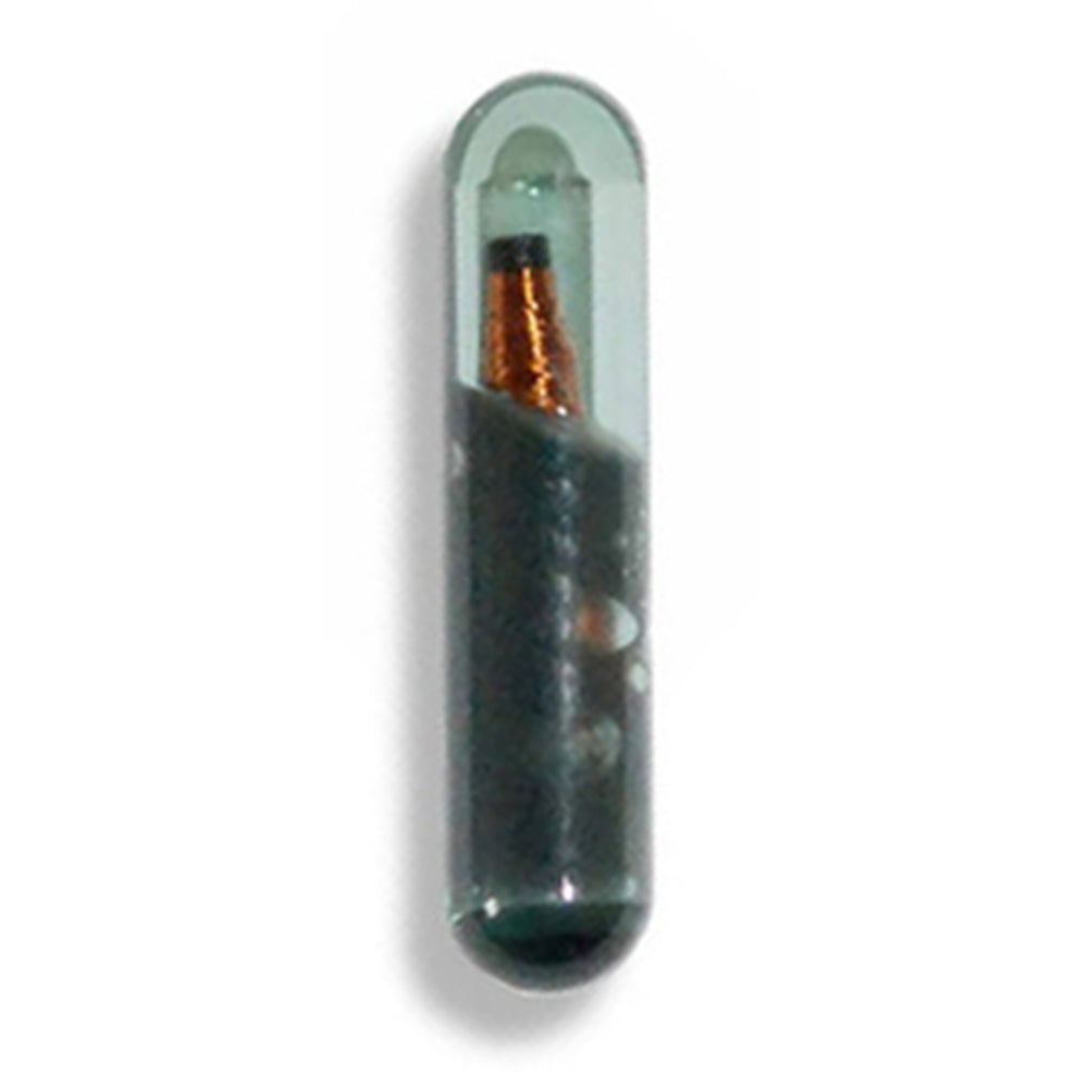 Transponder Chip Blank Glass 4D60