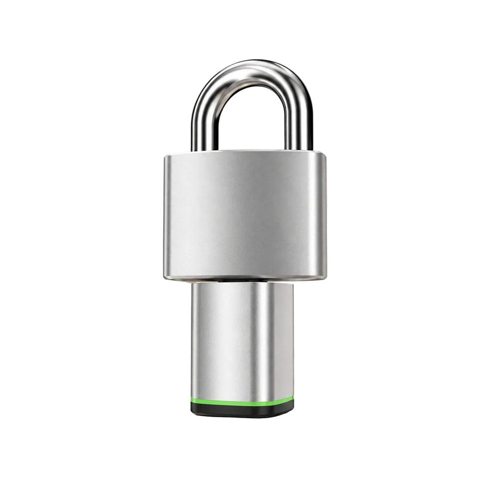 Entrada D3 padlock