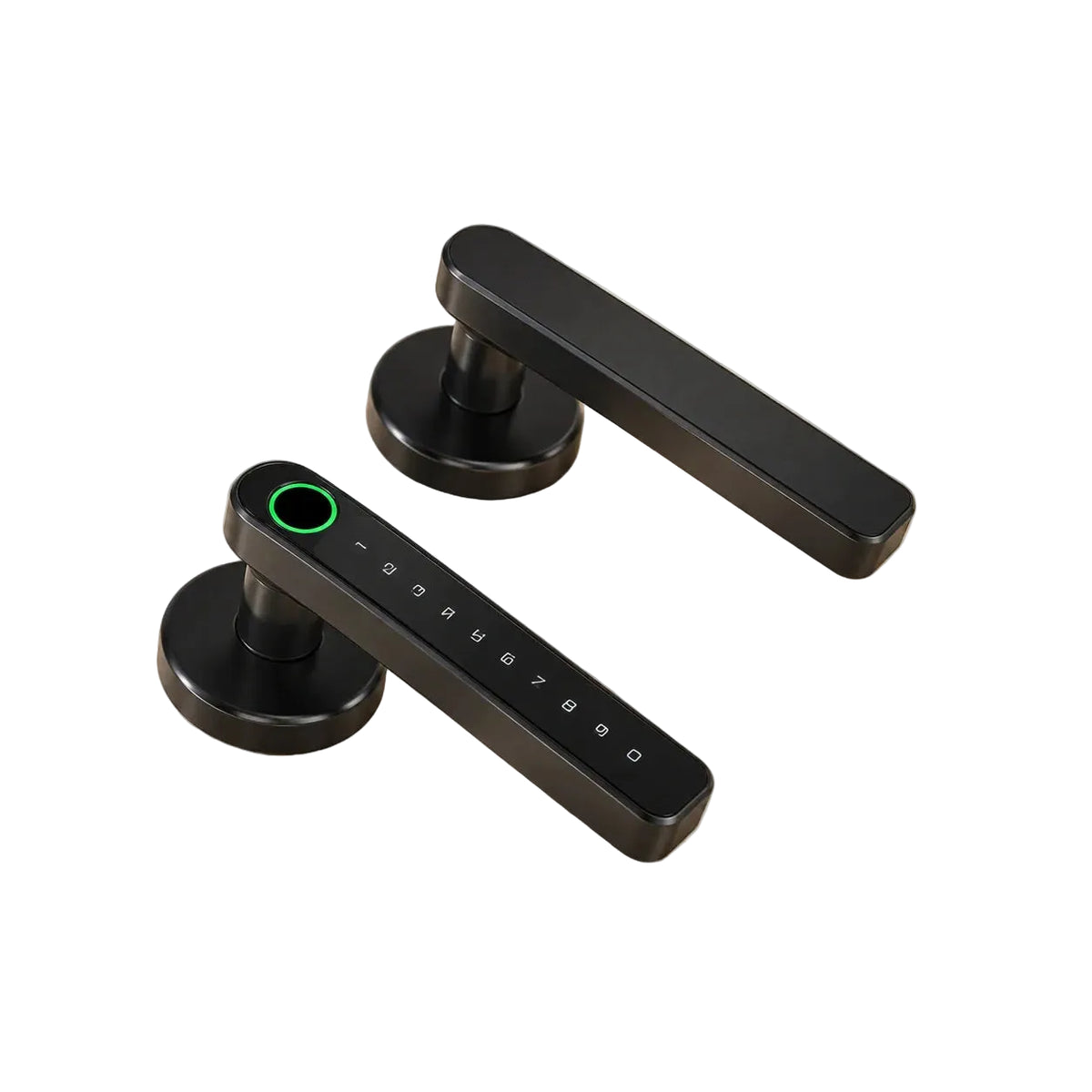 Entrada Digital rose lever set